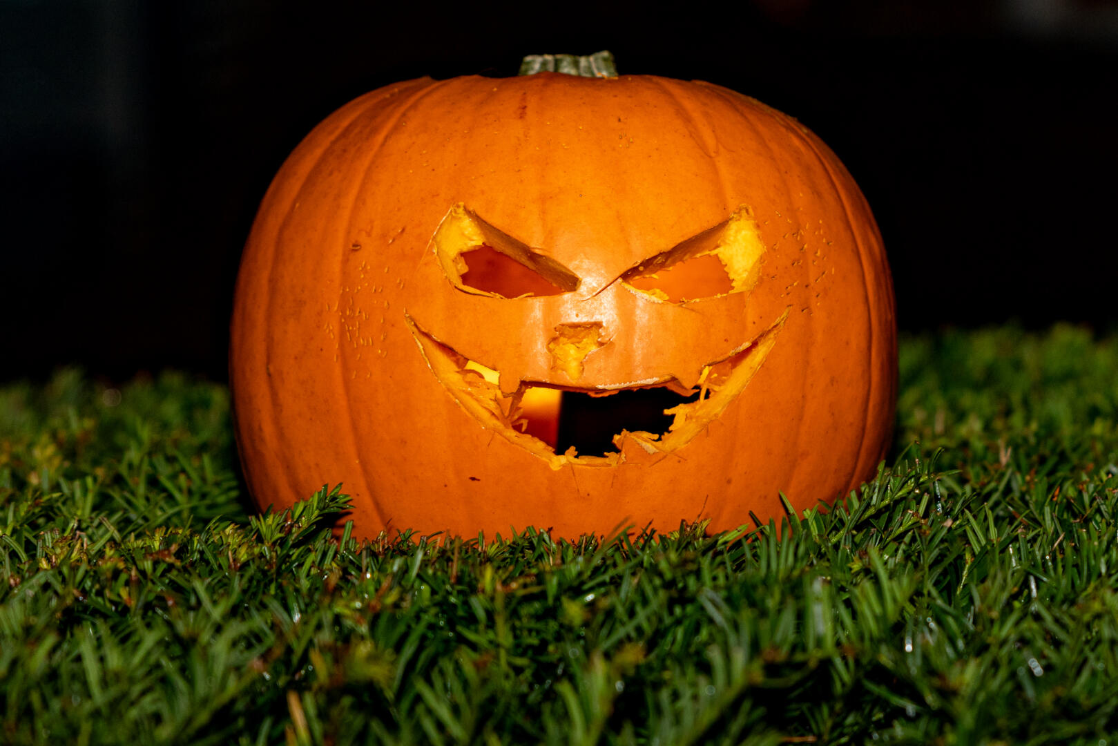 Boerenmarkt Halloween Boerenmarkt Halloween