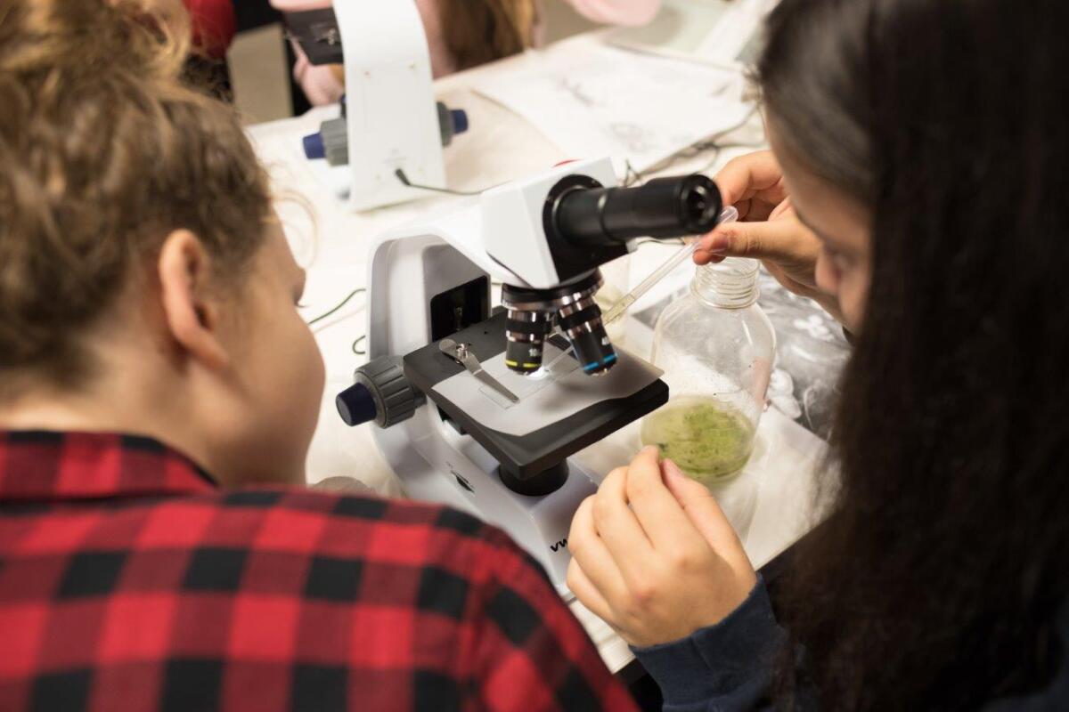 Andreas-Mohn-Stiftung_Regio_Achterhoek_NEAnderLab_GmbH_Stiftung_Jugend_&_Schlösser_Team_Nijhuis_-_experimenterende_kinderen_-_MINT-Lab_auf_Schlössern_/_in_kastelen_3_-_©Andreas-Mohn-Stiftung