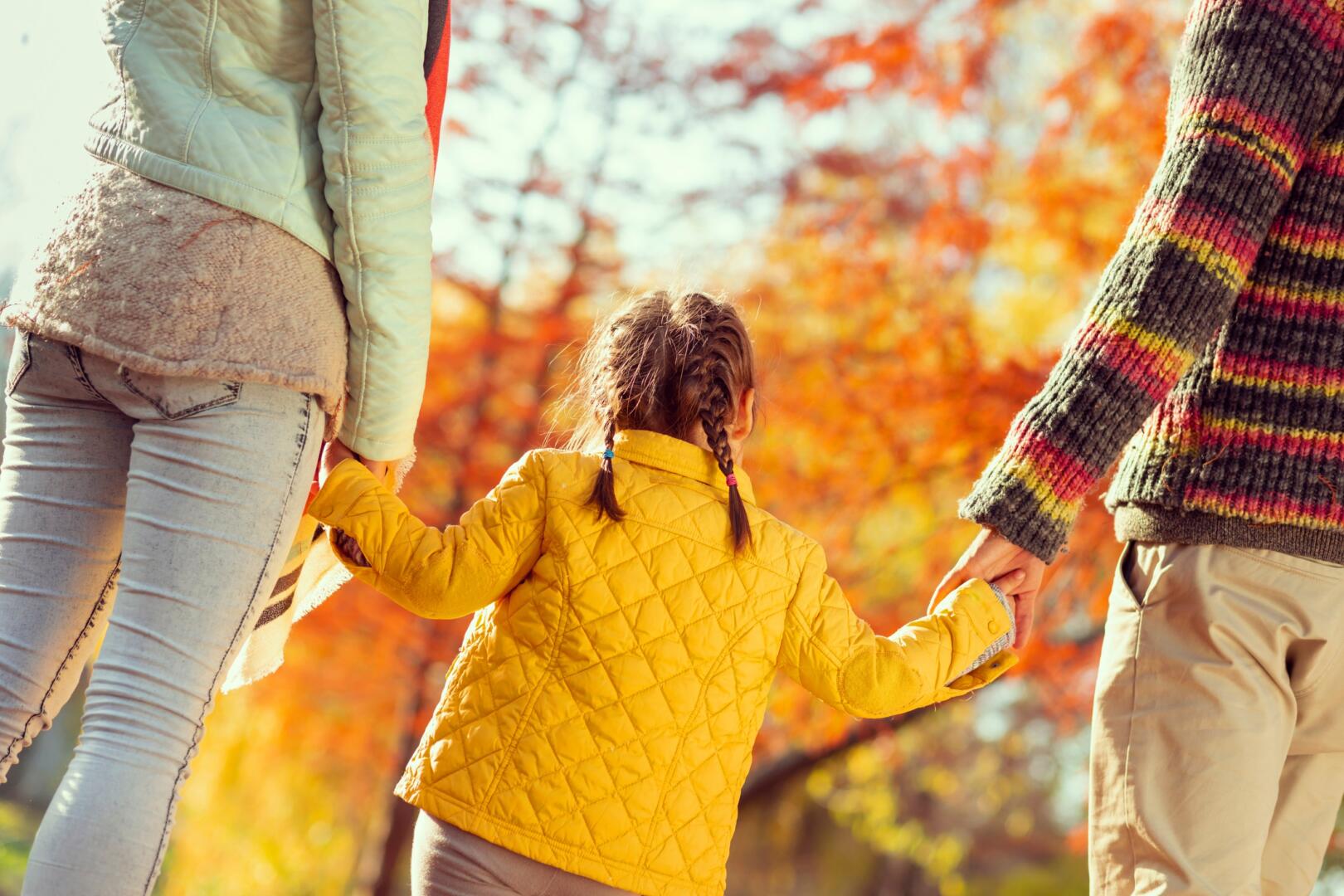 Deutsch-niederländischer digitaler Thementag zum Thema Familienleistungen