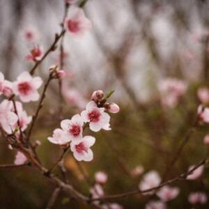 Foto von Meghan Holmes auf Unsplash