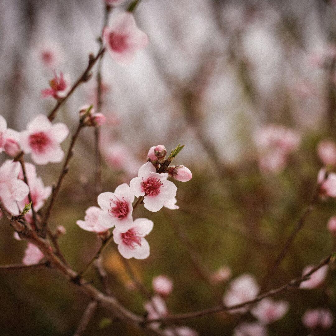 Maghan-Holmes-Unsplash Foto von Meghan Holmes auf Unsplash